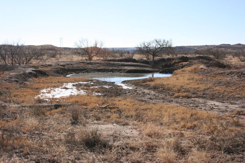 Whitaker Real Estate