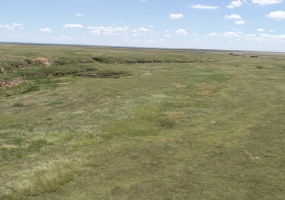 Armstrong County, Texas, ,Land,For sale,1113 Armstrong County, Texas, ,Land,For sale,1113