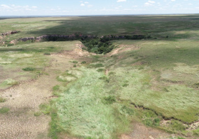 Armstrong County, Texas, ,Land,For sale,1113 Armstrong County, Texas, ,Land,For sale,1113