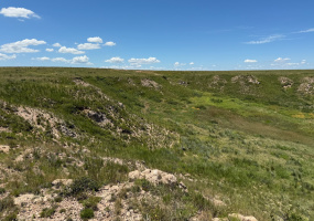 Armstrong County, Texas, ,Land,For sale,1113 Armstrong County, Texas, ,Land,For sale,1113
