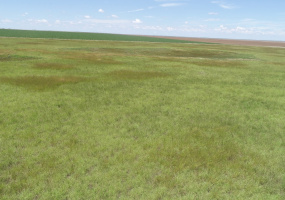 Armstrong County, Texas, ,Land,For sale,1113 Armstrong County, Texas, ,Land,For sale,1113
