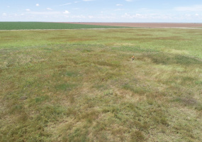 Armstrong County, Texas, ,Land,For sale,1113 Armstrong County, Texas, ,Land,For sale,1113