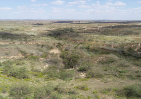 Donley County, Texas, ,Land,For sale,1115