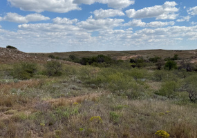 Donley County, Texas, ,Land,For sale,1115