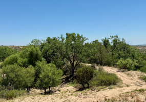 Donley County, Texas, ,Land,For sale,1119 Donley County, Texas, ,Land,For sale,1119