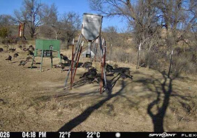 Donley County, Texas, ,Land,For sale,1119 Donley County, Texas, ,Land,For sale,1119