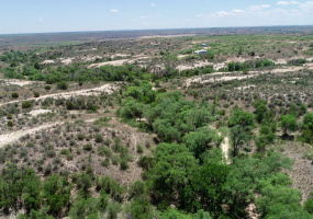 Donley County, Texas, ,Land,For sale,1119 Donley County, Texas, ,Land,For sale,1119