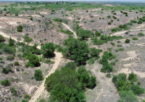 Donley County, Texas, ,Land,For sale,1119 Donley County, Texas, ,Land,For sale,1119
