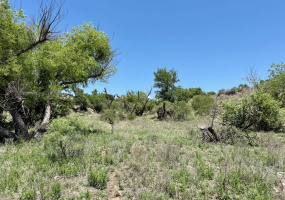 Donley County, Texas, ,Land,For sale,1119 Donley County, Texas, ,Land,For sale,1119