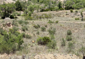Donley County, Texas, ,Land,For sale,1119 Donley County, Texas, ,Land,For sale,1119