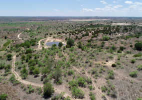 Donley County, Texas, ,Land,For sale,1119 Donley County, Texas, ,Land,For sale,1119