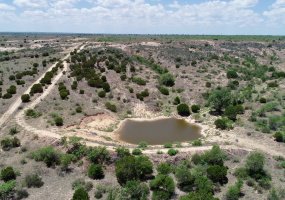 Donley County, Texas, ,Land,For sale,1119 Donley County, Texas, ,Land,For sale,1119