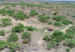 Donley County, Texas, ,Land,For sale,1119 Donley County, Texas, ,Land,For sale,1119