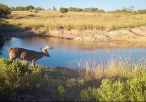 Donley County, Texas, ,Land,For sale,1119 Donley County, Texas, ,Land,For sale,1119