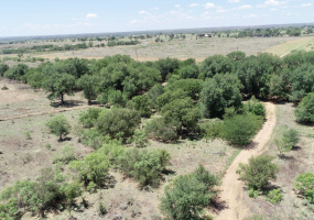 Donley County, Texas, ,Land,For sale,1119 Donley County, Texas, ,Land,For sale,1119