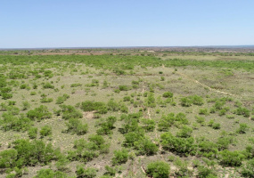 Donley County, Texas, ,Land,For sale,1119 Donley County, Texas, ,Land,For sale,1119