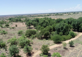 Donley County, Texas, ,Land,For sale,1119 Donley County, Texas, ,Land,For sale,1119