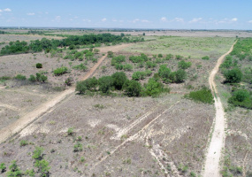 Donley County, Texas, ,Land,For sale,1119 Donley County, Texas, ,Land,For sale,1119