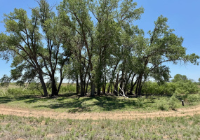 Donley County, Texas, ,Land,For sale,1119 Donley County, Texas, ,Land,For sale,1119