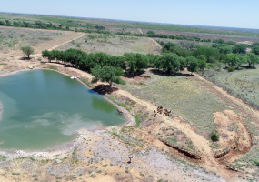 Donley County, Texas, ,Land,For sale,1119