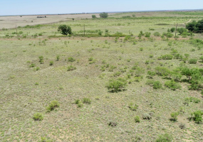 Donley County, Texas, ,Land,For sale,1119 Donley County, Texas, ,Land,For sale,1119