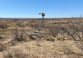 Donley County, Texas, ,Land,For sale,1119