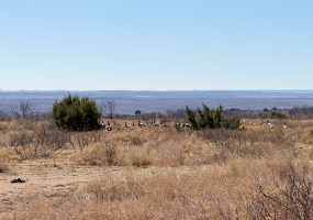 Donley County, Texas, ,Land,For sale,1119