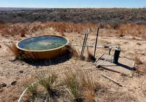 Donley County, Texas, ,Land,For sale,1119