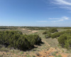 Donley County, Texas, ,Land,For sale,1120 Donley County, Texas, ,Land,For sale,1120