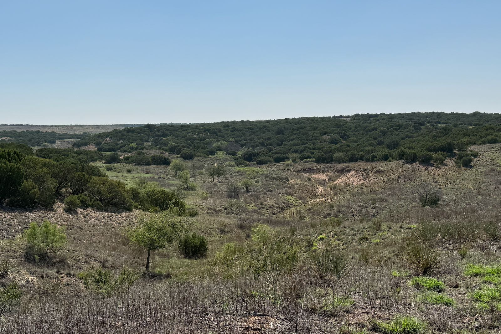 Donley County, Texas, ,Land,For sale,1120 Donley County, Texas, ,Land,For sale,1120