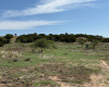 Donley County, Texas, ,Land,For sale,1120 Donley County, Texas, ,Land,For sale,1120