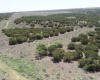Donley County, Texas, ,Land,For sale,1120 Donley County, Texas, ,Land,For sale,1120