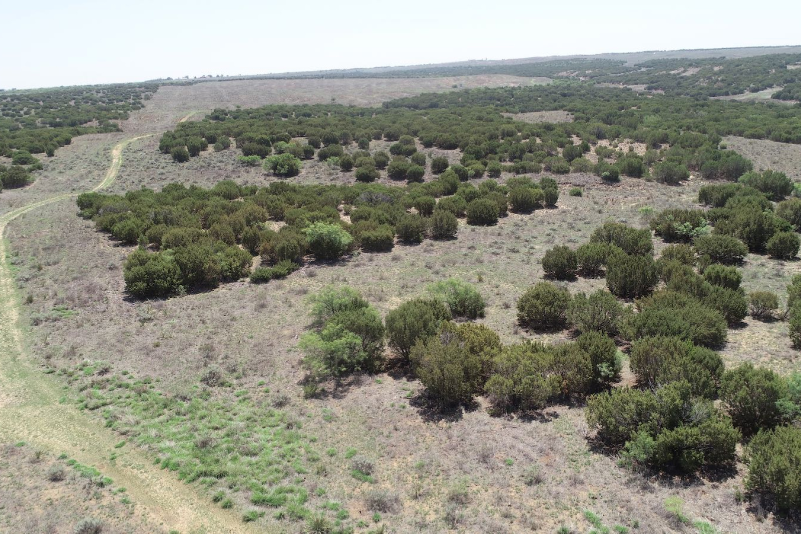 Donley County, Texas, ,Land,For sale,1120 Donley County, Texas, ,Land,For sale,1120