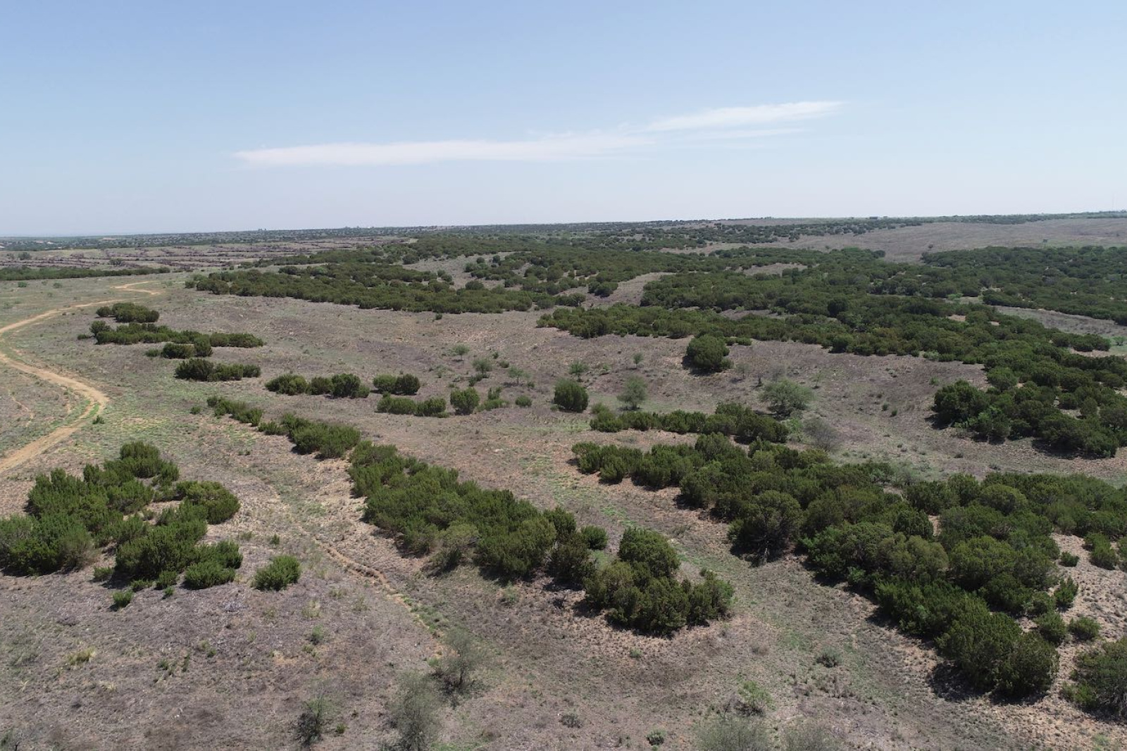 Donley County, Texas, ,Land,For sale,1120 Donley County, Texas, ,Land,For sale,1120