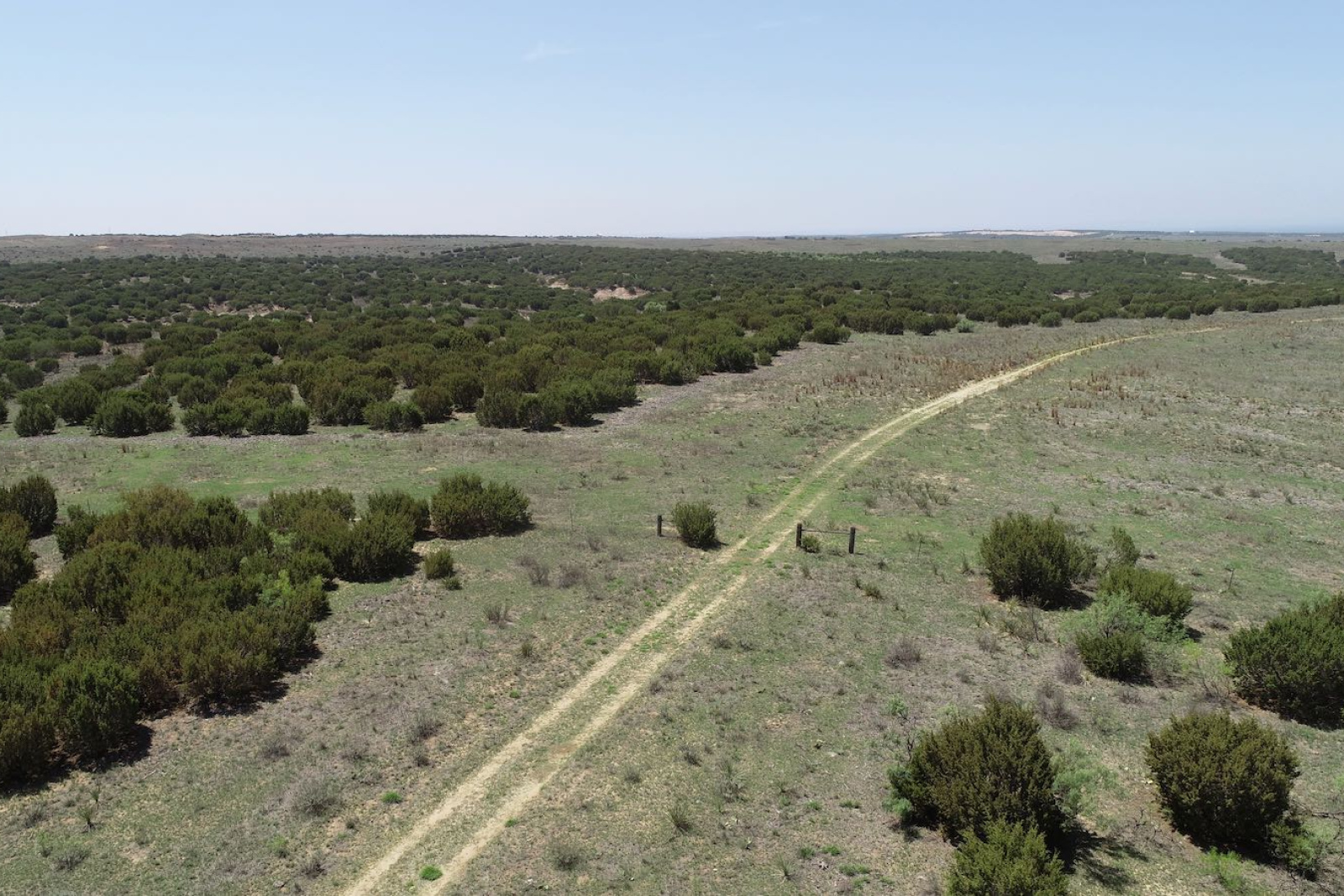 Donley County, Texas, ,Land,For sale,1120 Donley County, Texas, ,Land,For sale,1120