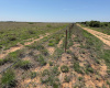 Donley County, Texas, ,Land,For sale,1120 Donley County, Texas, ,Land,For sale,1120