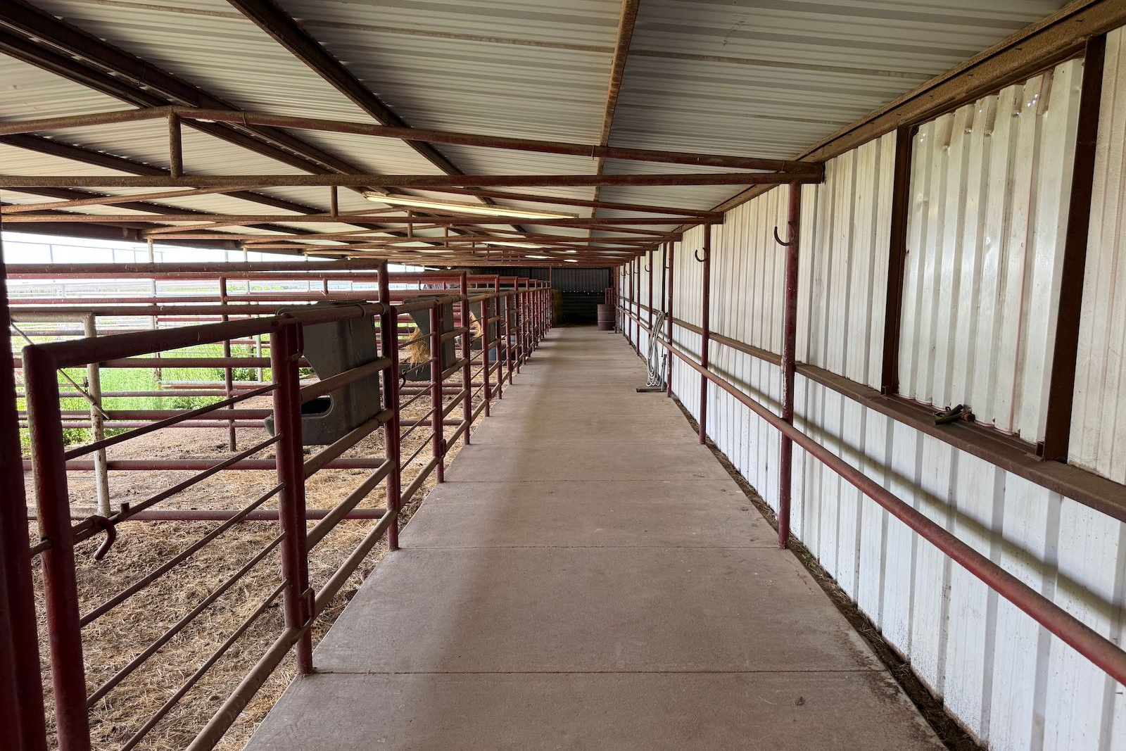 Donley County, Texas, ,Land,For sale,1120 Donley County, Texas, ,Land,For sale,1120
