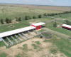 Donley County, Texas, ,Land,For sale,1120 Donley County, Texas, ,Land,For sale,1120