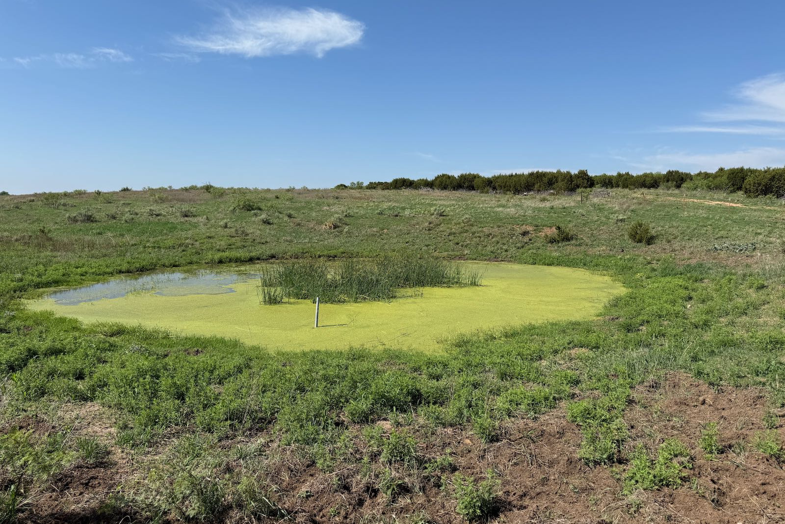 Donley County, Texas, ,Land,For sale,1120 Donley County, Texas, ,Land,For sale,1120