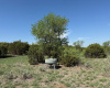 Donley County, Texas, ,Land,For sale,1120 Donley County, Texas, ,Land,For sale,1120