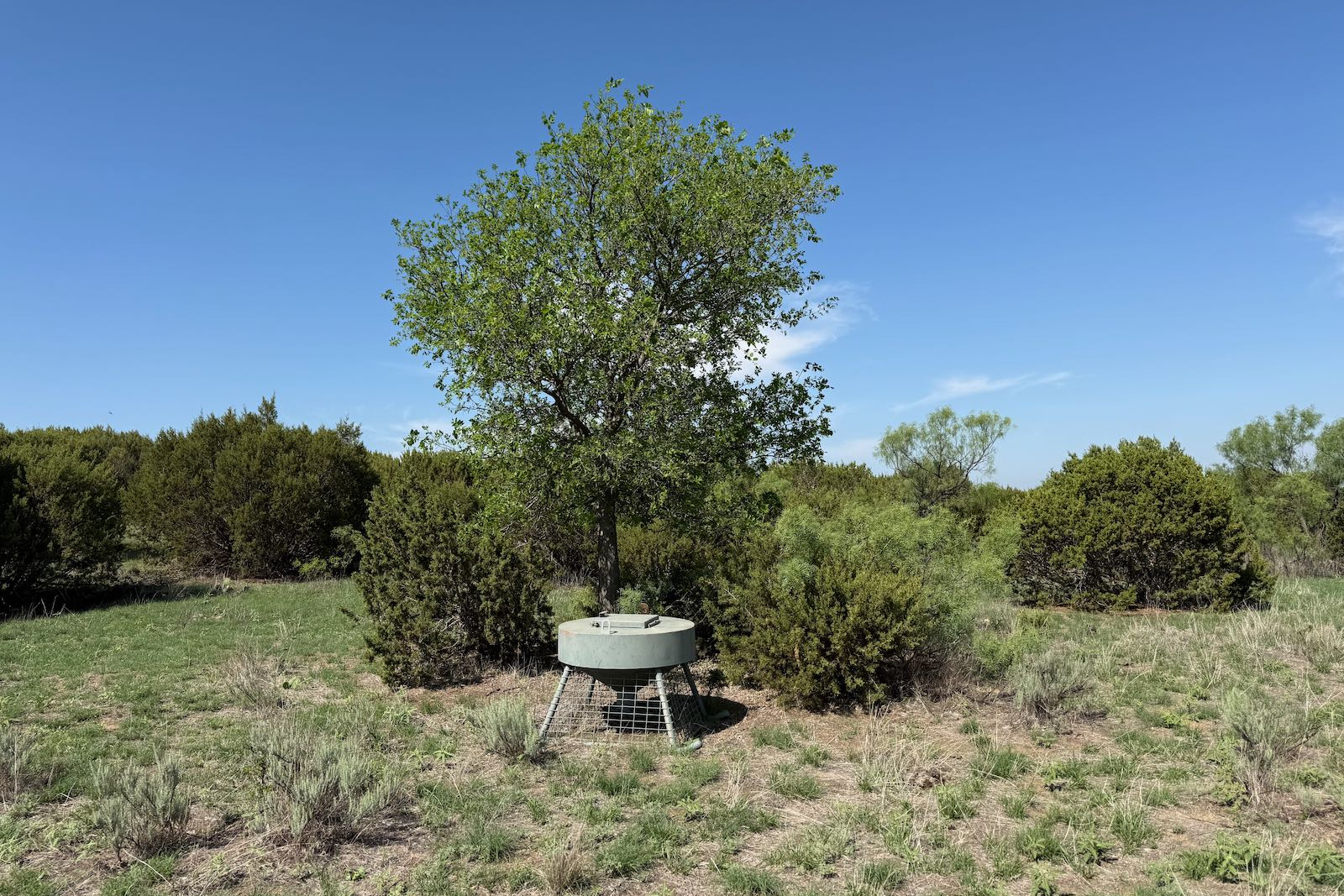Donley County, Texas, ,Land,For sale,1120 Donley County, Texas, ,Land,For sale,1120