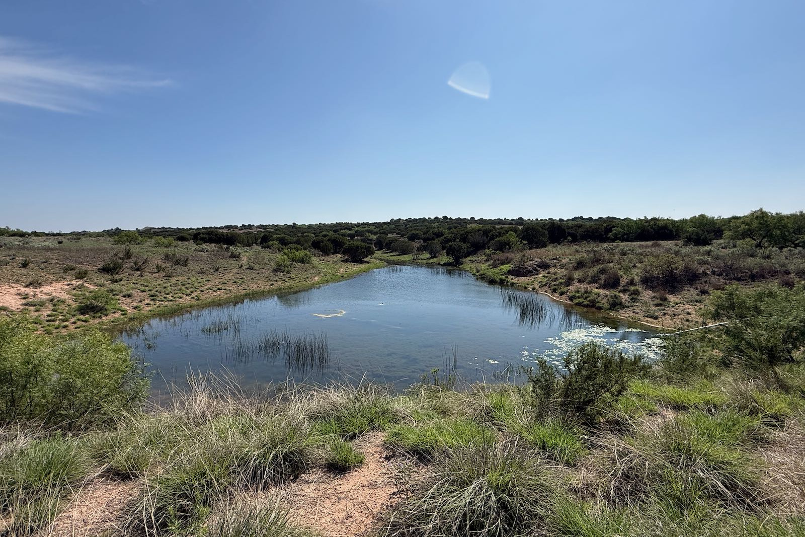 Donley County, Texas, ,Land,For sale,1120 Donley County, Texas, ,Land,For sale,1120