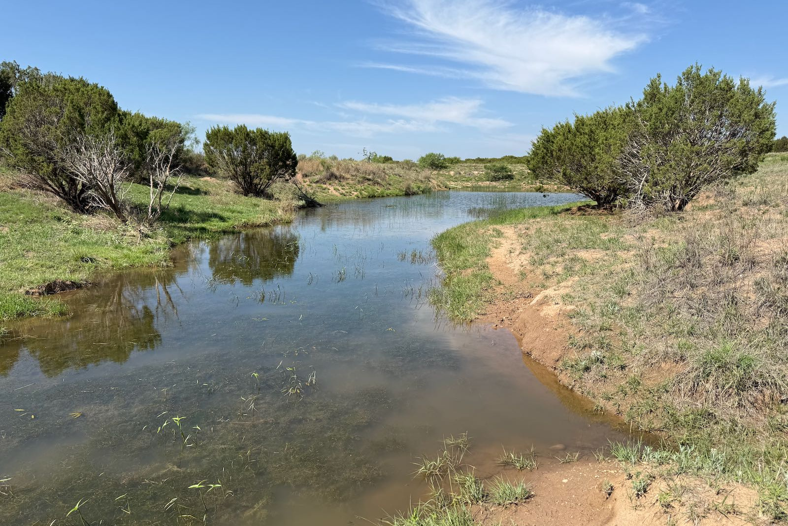 Donley County, Texas, ,Land,For sale,1120 Donley County, Texas, ,Land,For sale,1120