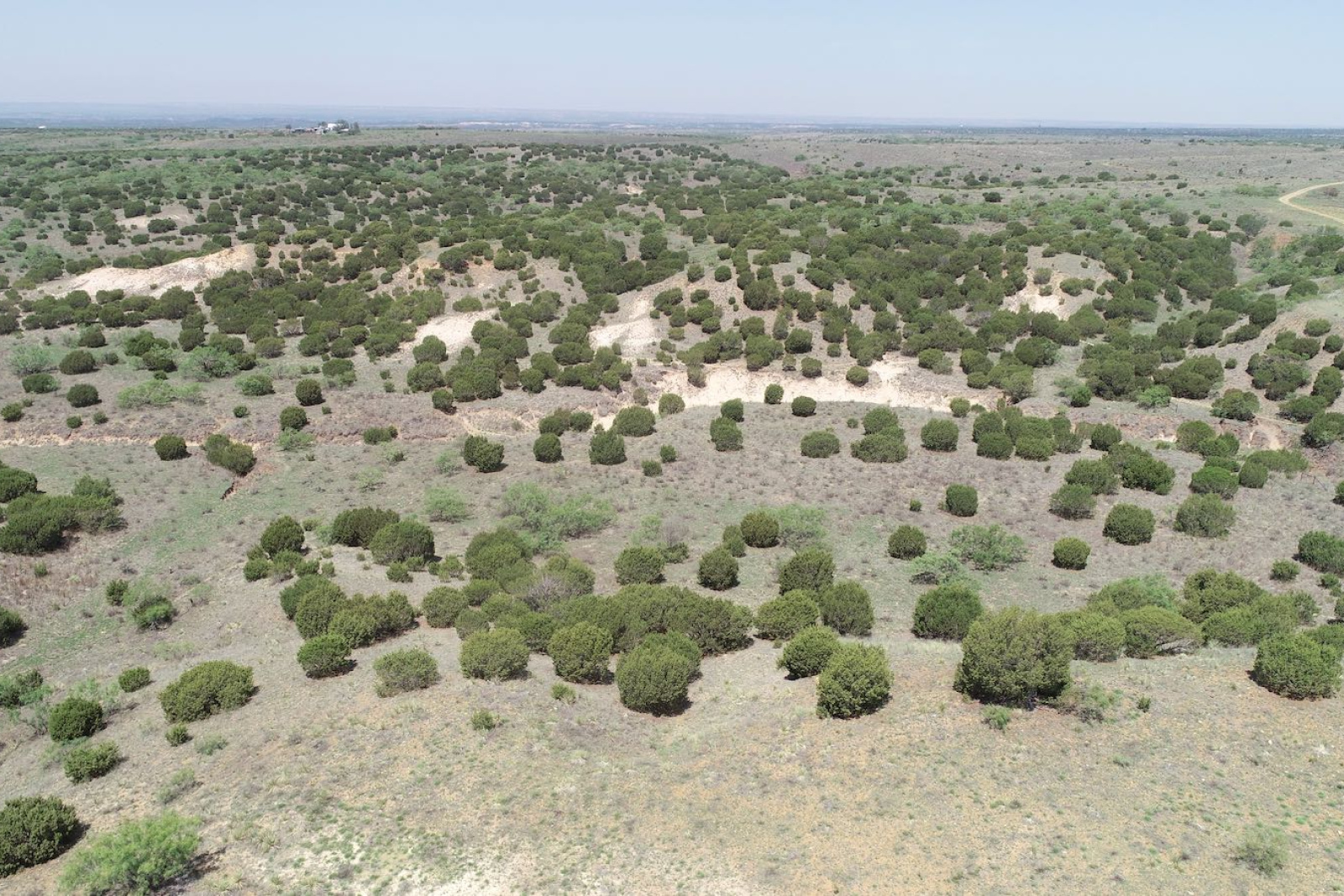 Donley County, Texas, ,Land,For sale,1120 Donley County, Texas, ,Land,For sale,1120