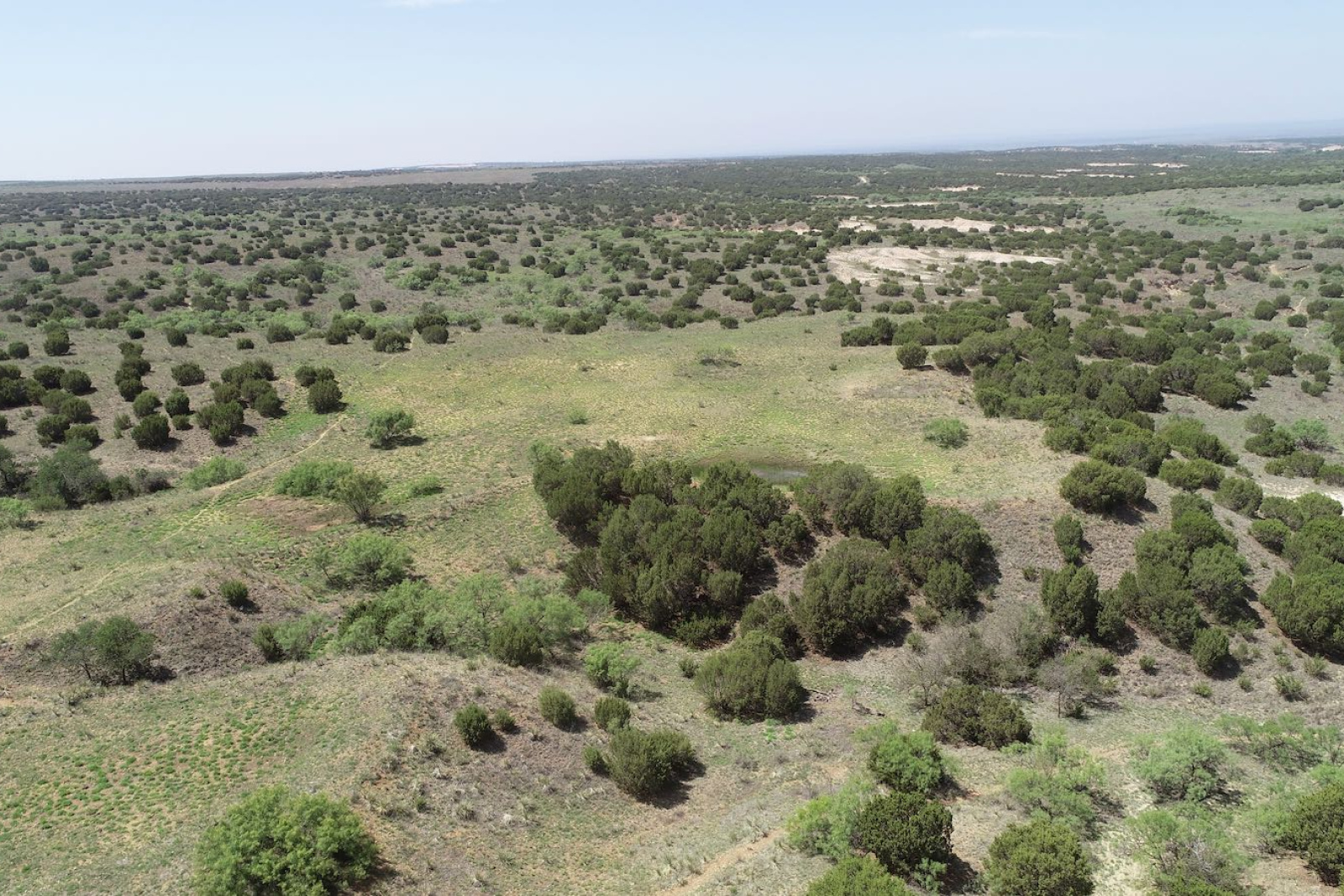 Donley County, Texas, ,Land,For sale,1120 Donley County, Texas, ,Land,For sale,1120