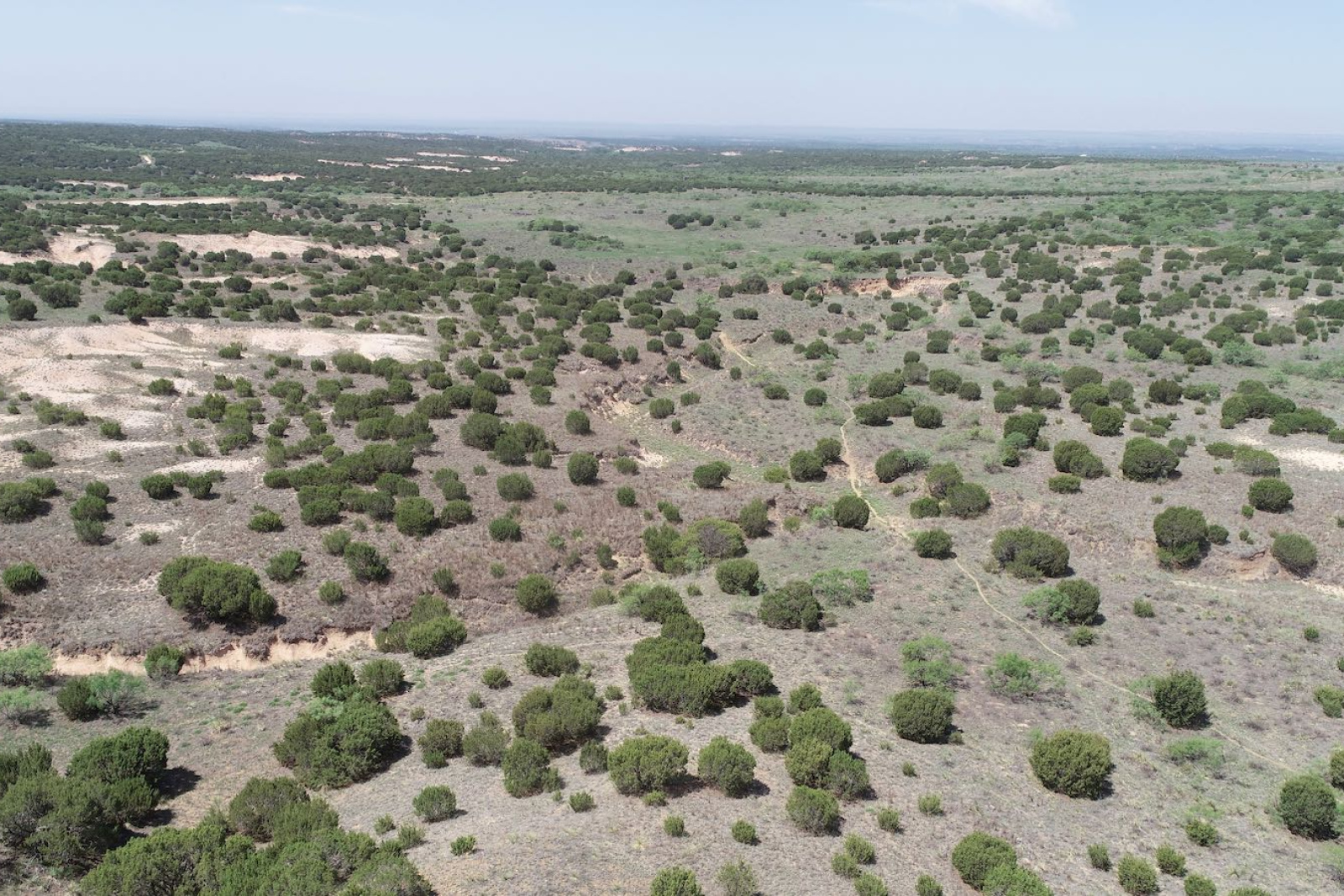 Donley County, Texas, ,Land,For sale,1120 Donley County, Texas, ,Land,For sale,1120