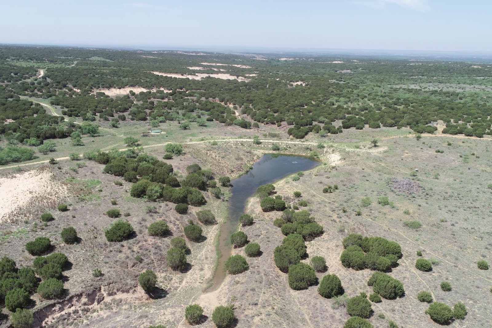Donley County, Texas, ,Land,For sale,1120 Donley County, Texas, ,Land,For sale,1120