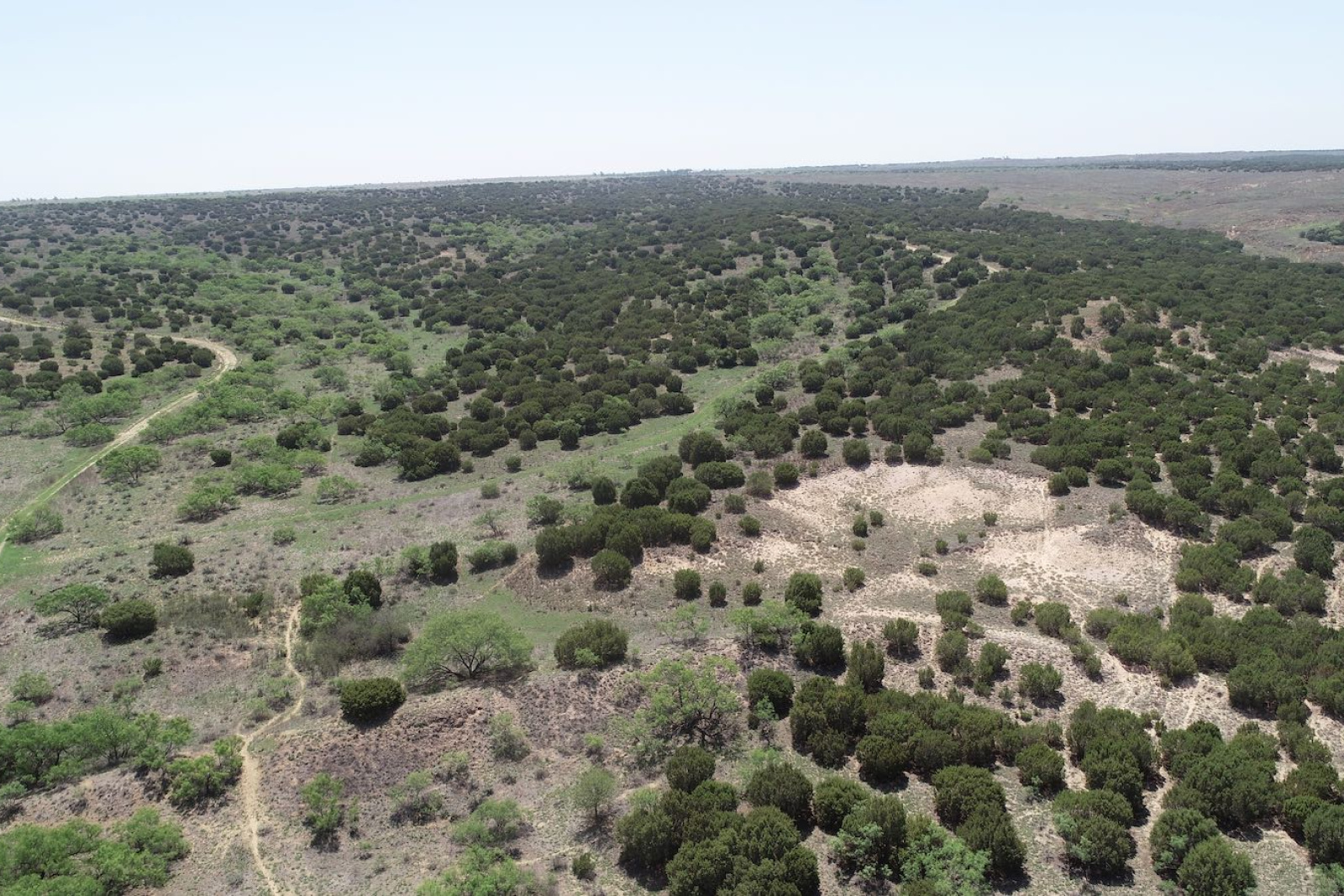 Donley County, Texas, ,Land,For sale,1120 Donley County, Texas, ,Land,For sale,1120