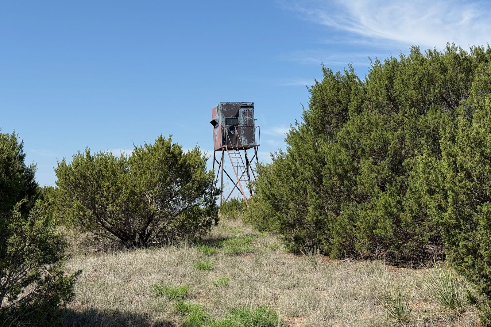 Donley County, Texas, ,Land,For sale,1120 Donley County, Texas, ,Land,For sale,1120