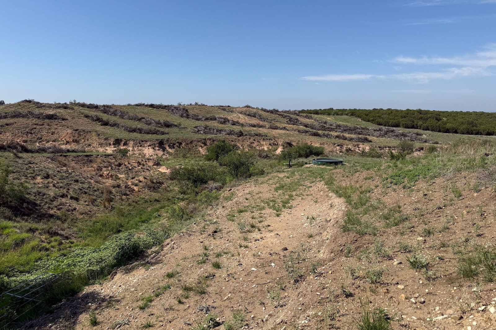 Donley County, Texas, ,Land,For sale,1120 Donley County, Texas, ,Land,For sale,1120